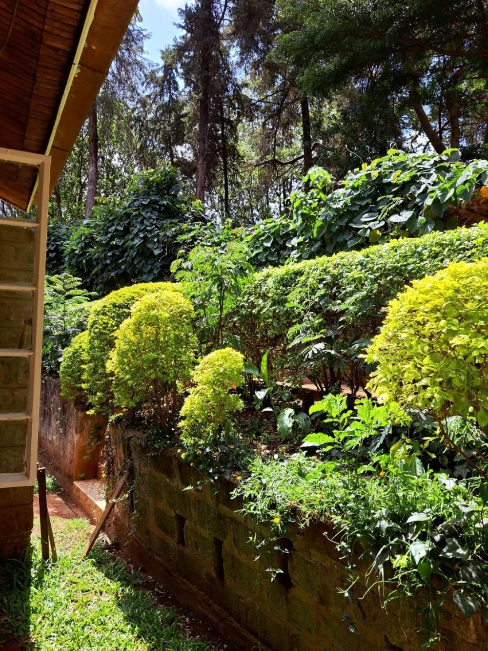 Rosslyn Studios Nairobi Exteriér fotografie